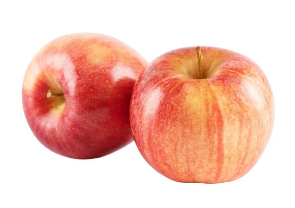 Royal Gala Apple, loose