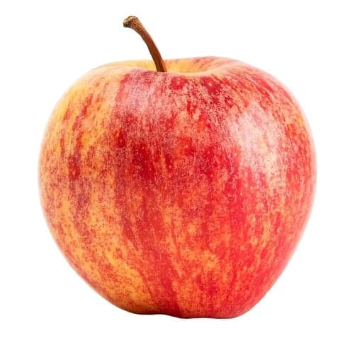Royal Gala Apple, loose