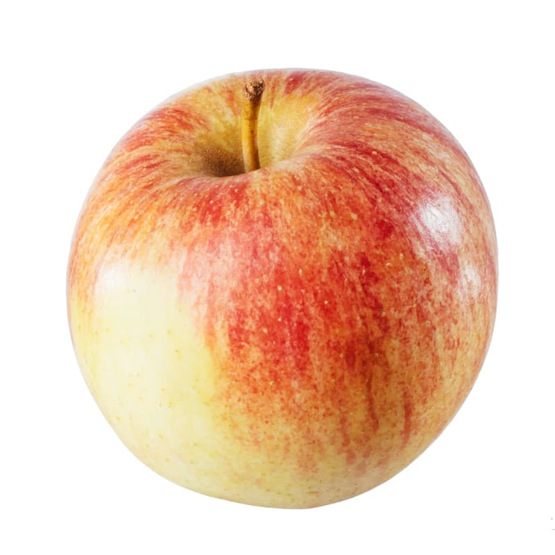 Royal Gala Apple, loose