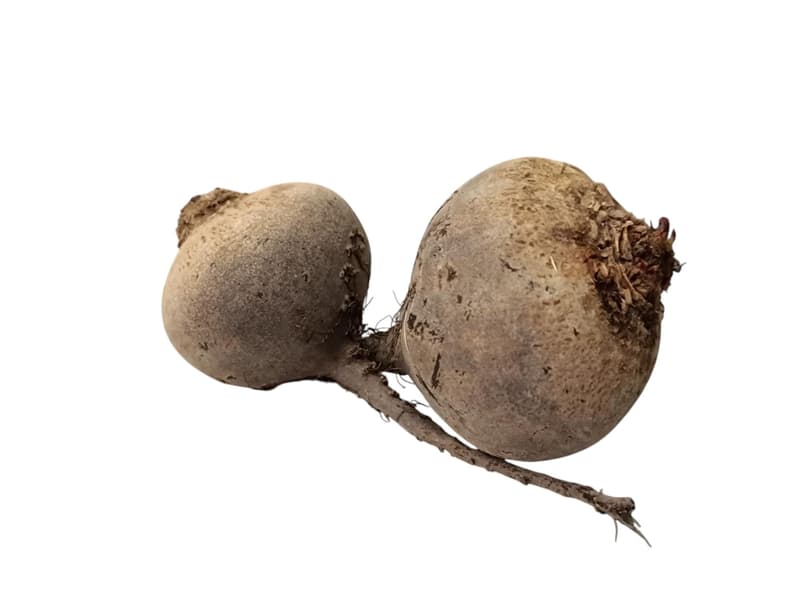Beetroot