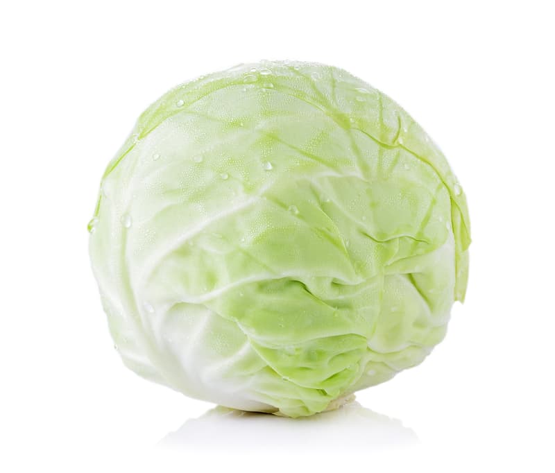 Cabbage