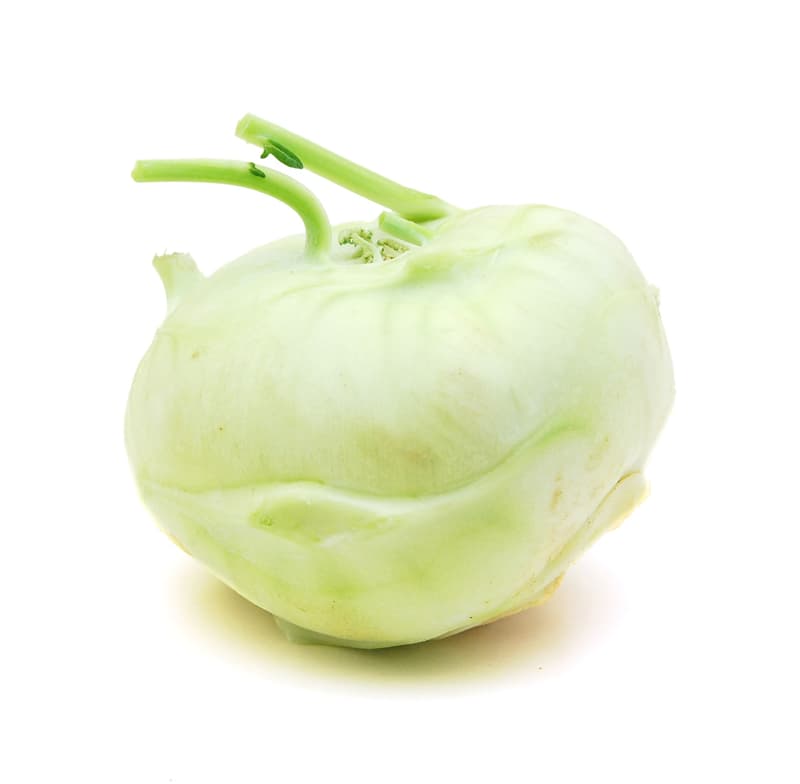 Turnip Cabbage