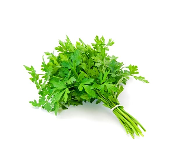 Parsley green knot