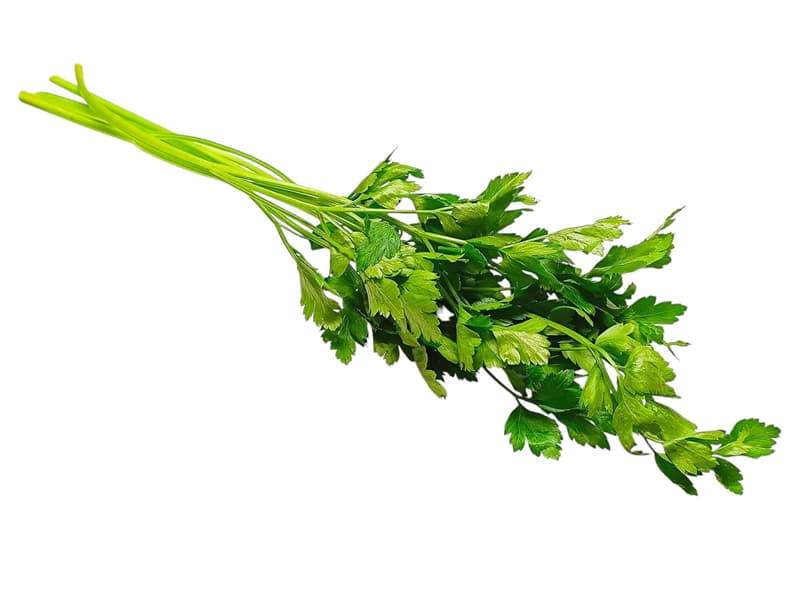 Parsley green knot