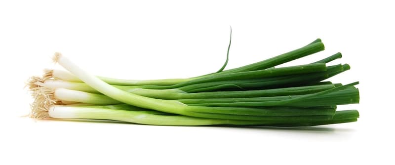 Springonions