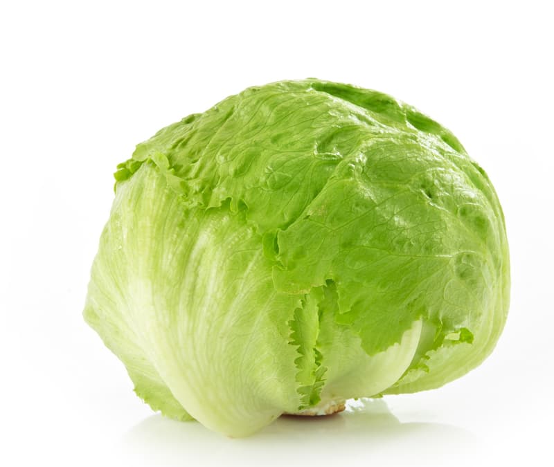 Iceberg lettuce