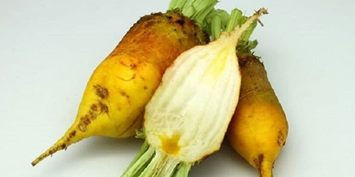 Beets Yellow