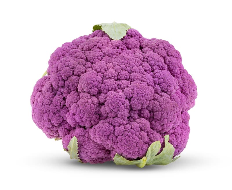 Purple Cauliflower