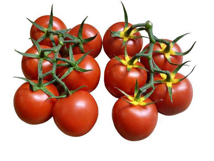 Clustered tomatoes from Kiskunfélegyháza