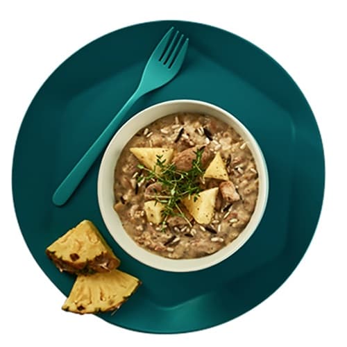 Shelf Pineapple chicken with rice