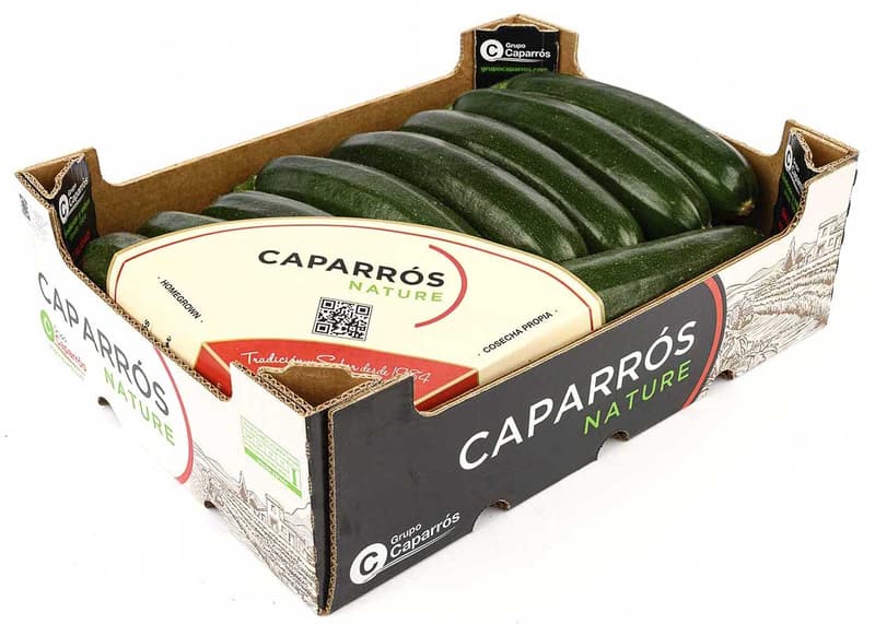 Zucchini