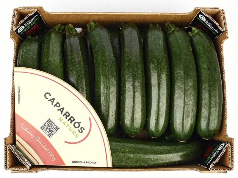 Zucchini