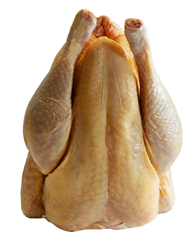Fresh gutted farmed chicken, without trimmings