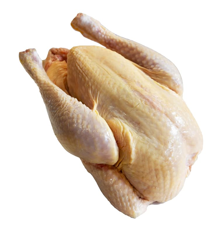 Fresh gutted farmed chicken, without trimmings