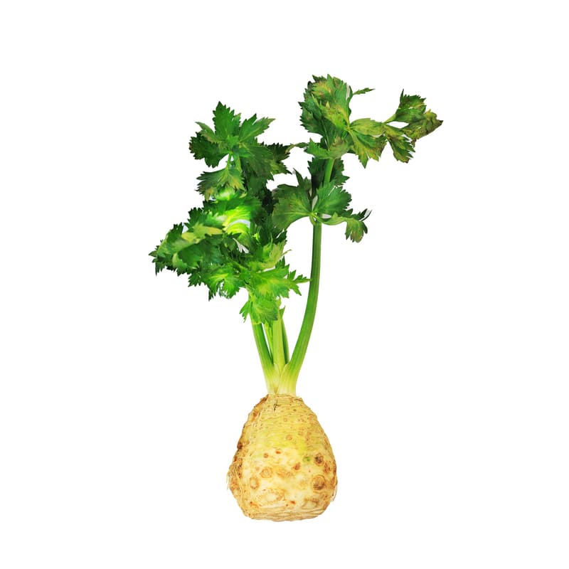 Celery tuber, leafy