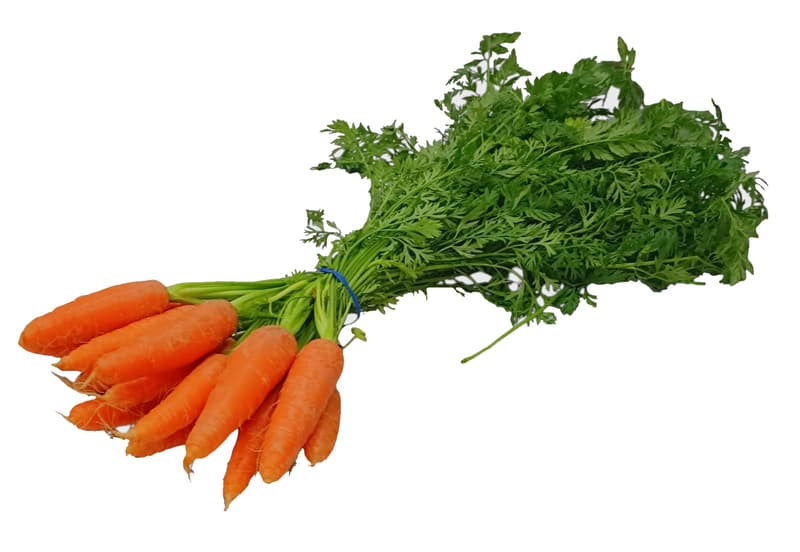 Bunch of carrots