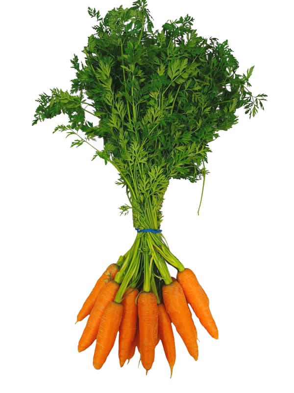 Bunch of carrots