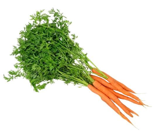Bunch of carrots