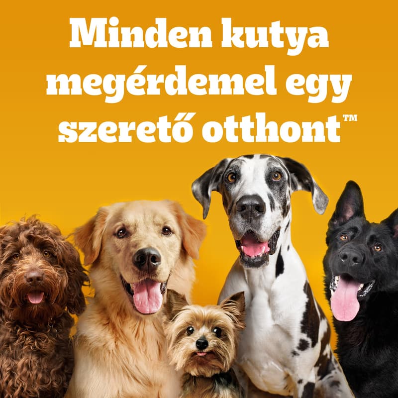 Pedigree Biscrok reward wall for dogs