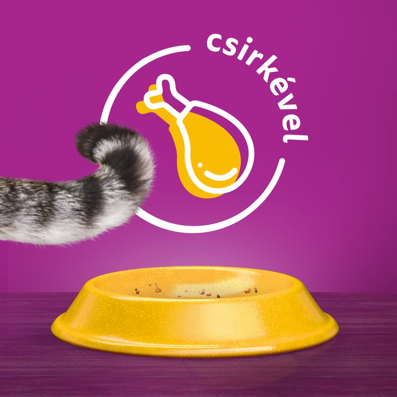 Whiskas dry pet food for cats with chicken