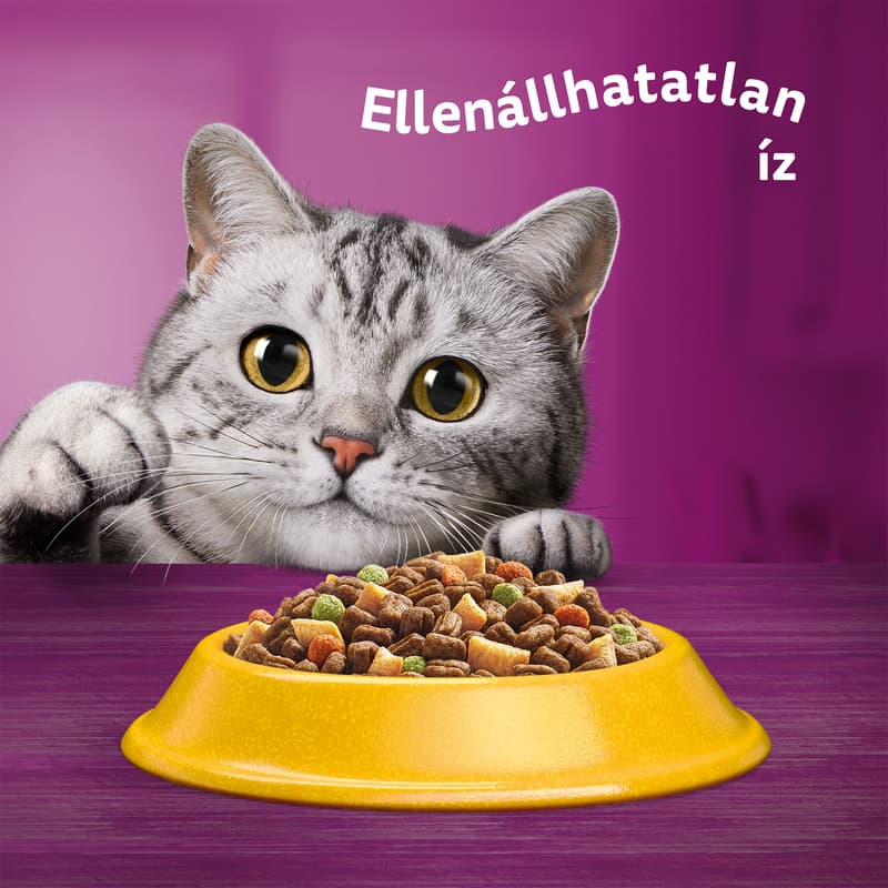 Whiskas dry pet food for cats with chicken