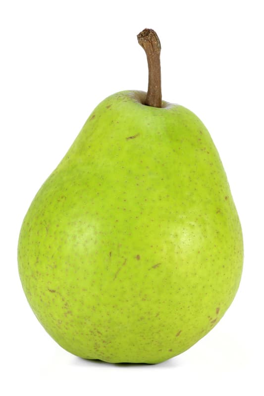 Lucas pear, loose