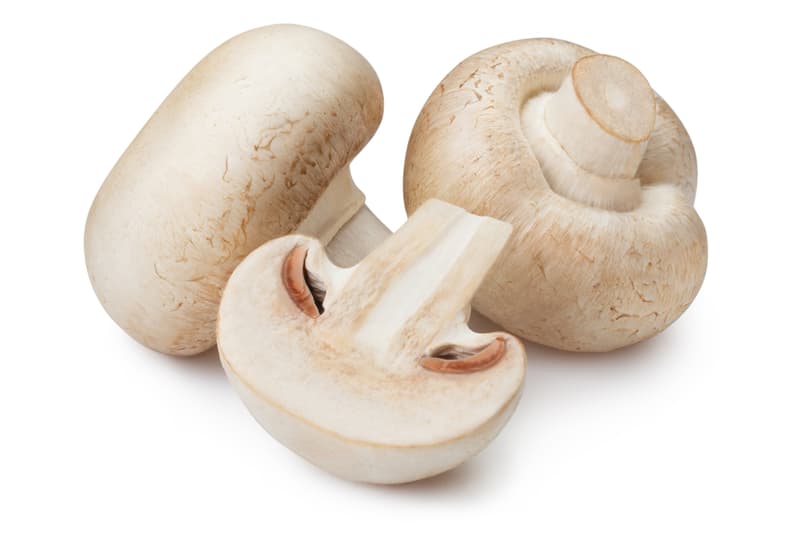 Chef Mushroom White champignons