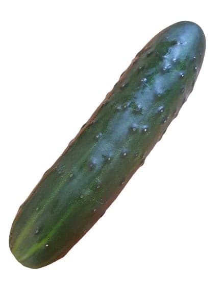 Magyar fürtös uborka,lédig