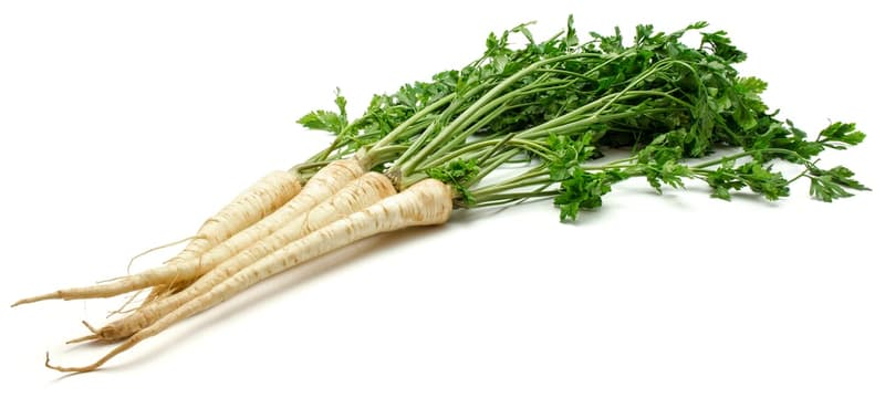 Parsley root knotted