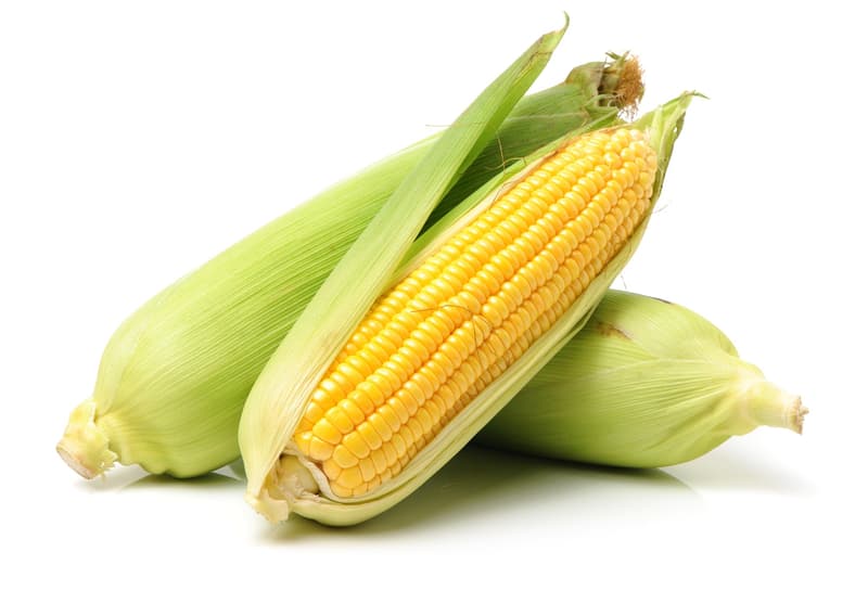 Sweet corn, - super sweet
