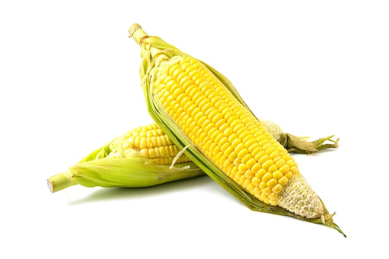 Sweet corn, - super sweet