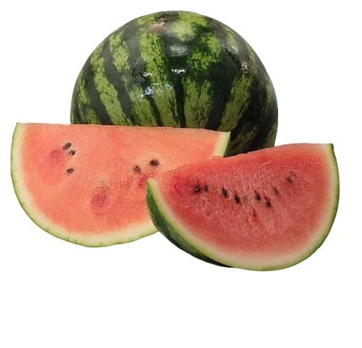 Mini watermelon