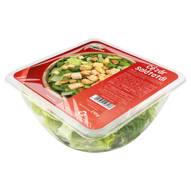 Eisberg Caesar salad bowl