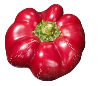 Pritamin pepper