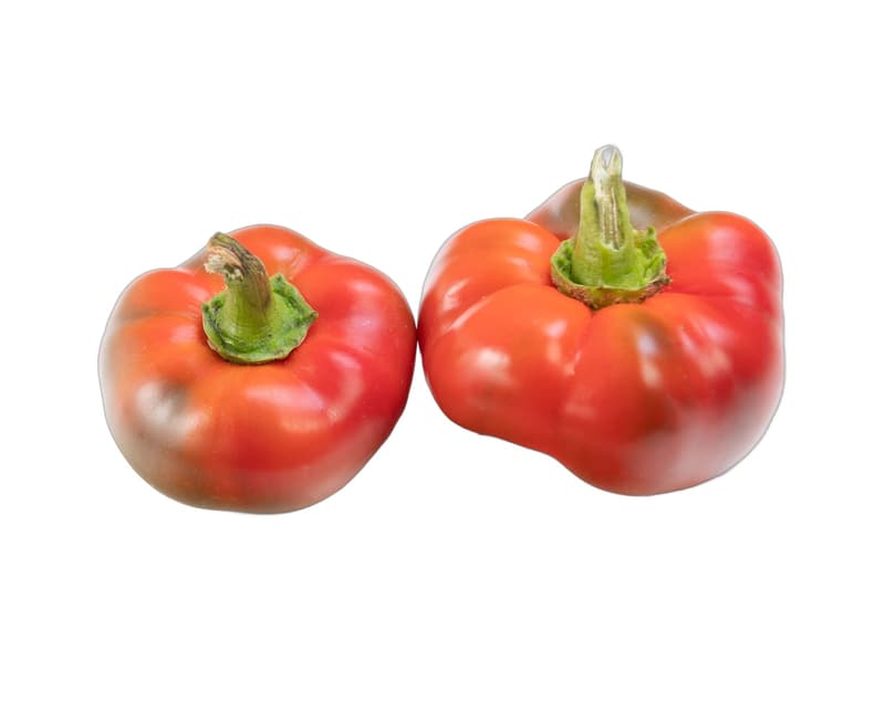 Pritamin pepper