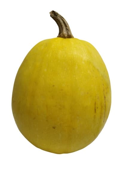 God pared pumpkin
