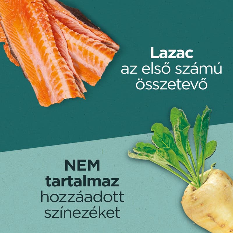 ONE Dual Nature Sterile dry cat food with salmon and blueberries