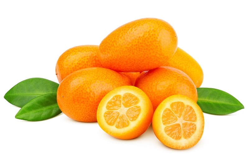 Titibit Kumquat, packed