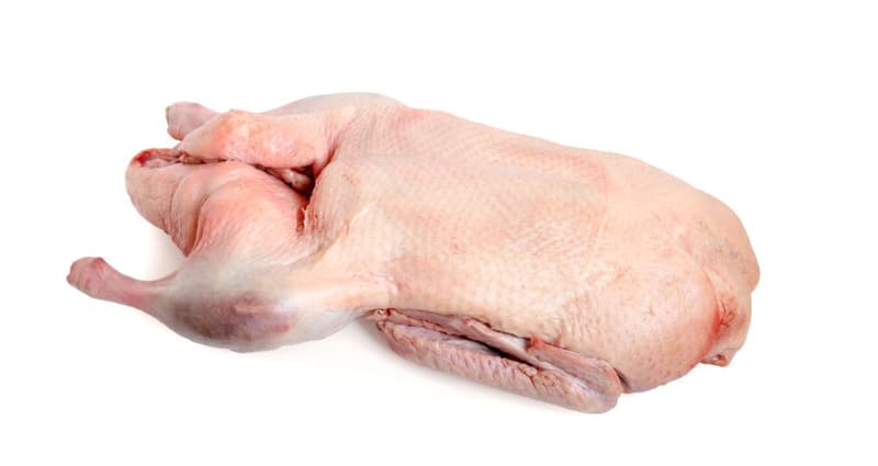 Pro-Duck Duck