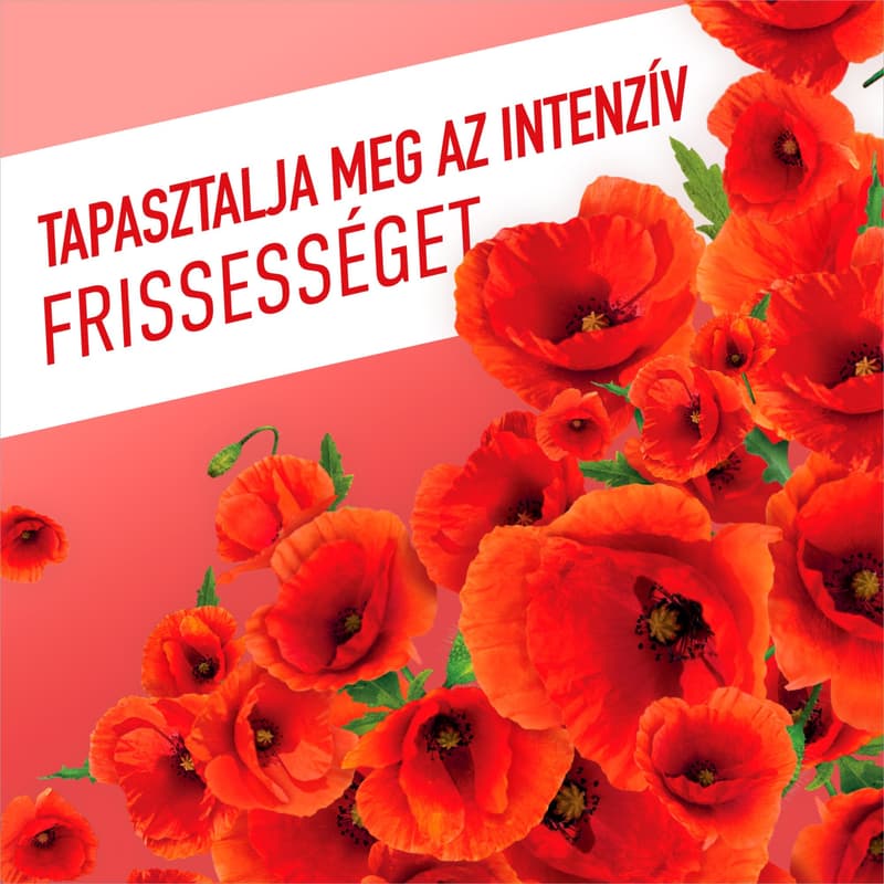 AJAX Floral Fiesta Red Flowers Általános tisztítószer