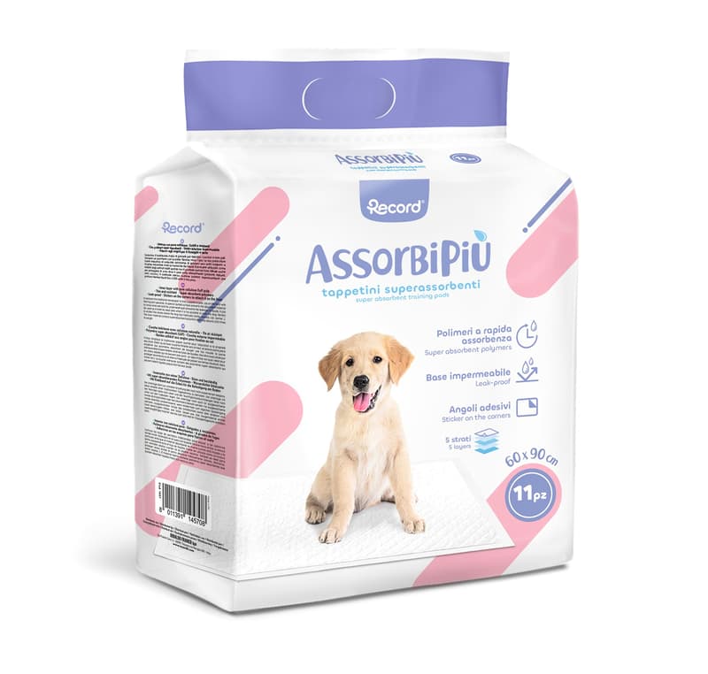 Assorbipiu Dog Diaper L
