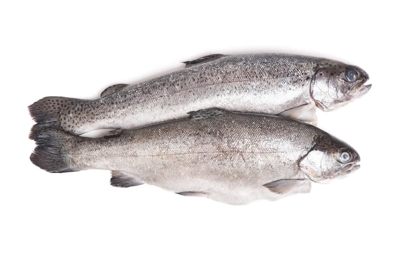 Whole Trout without Intestines, 2 pcs