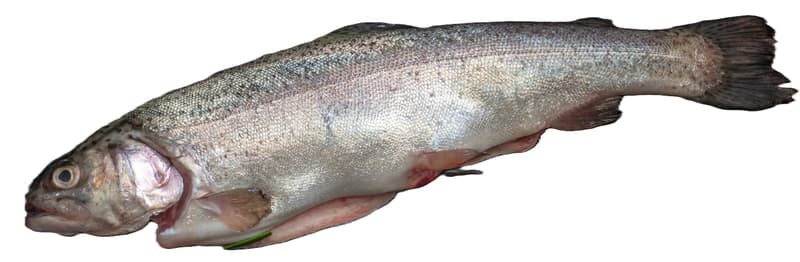 Whole Trout without Intestines, 2 pcs