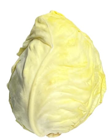 Pointed cabbage