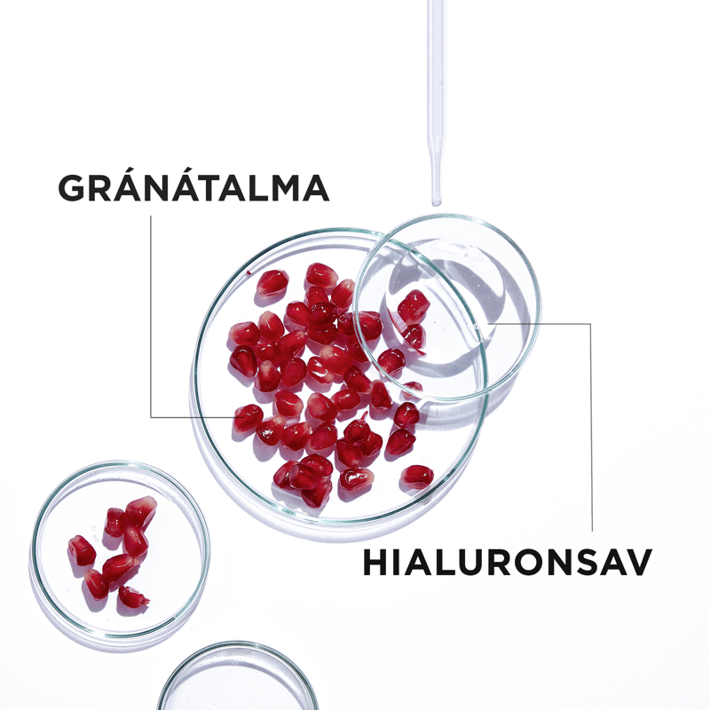 Garnier Skin Naturals Textile Mask Aqua Bomb - Pomegranate