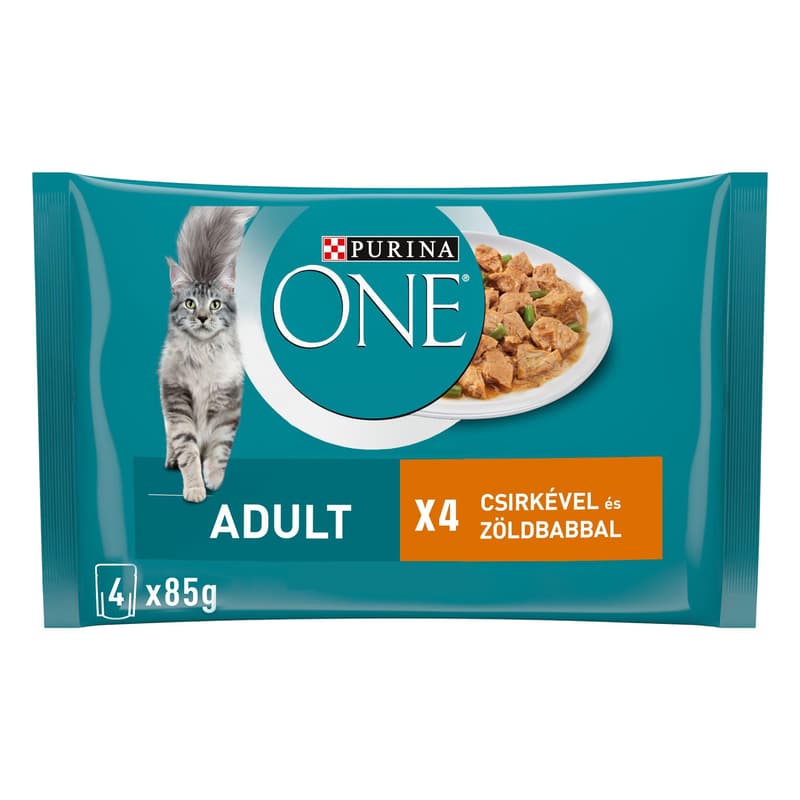 Purina One Wet cat food with chicken and green beans