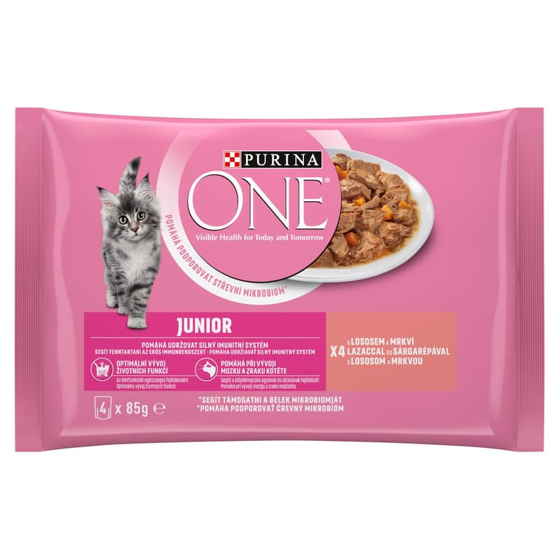 Purina One Junior Wet cat food with salmon and carrots