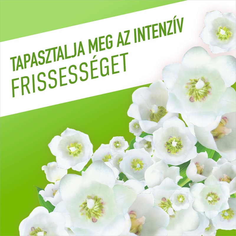 AJAX Floral Fiesta multi-purpose liquid cleaner Lily of the valley