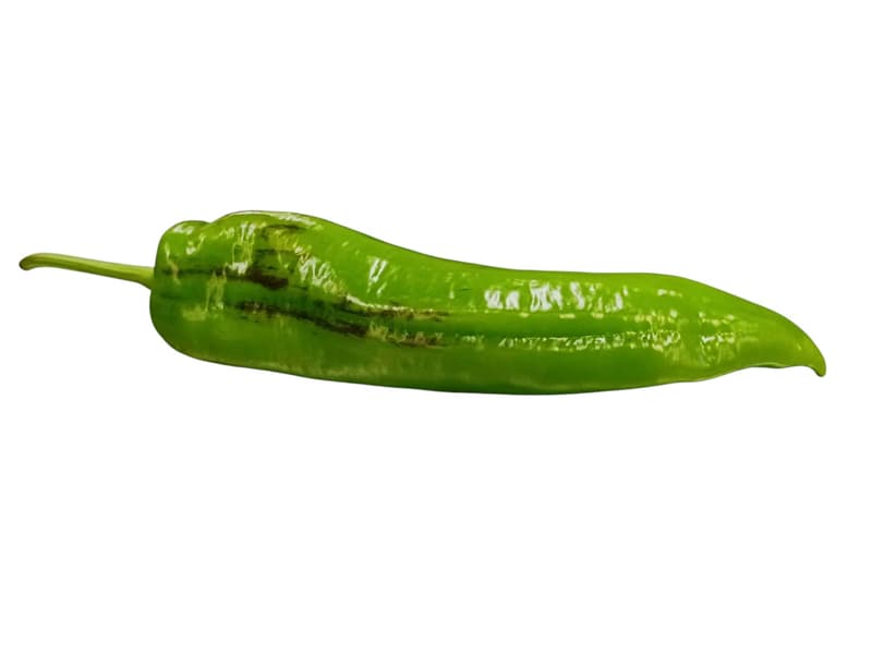 Hot pointed pepper 12cm+