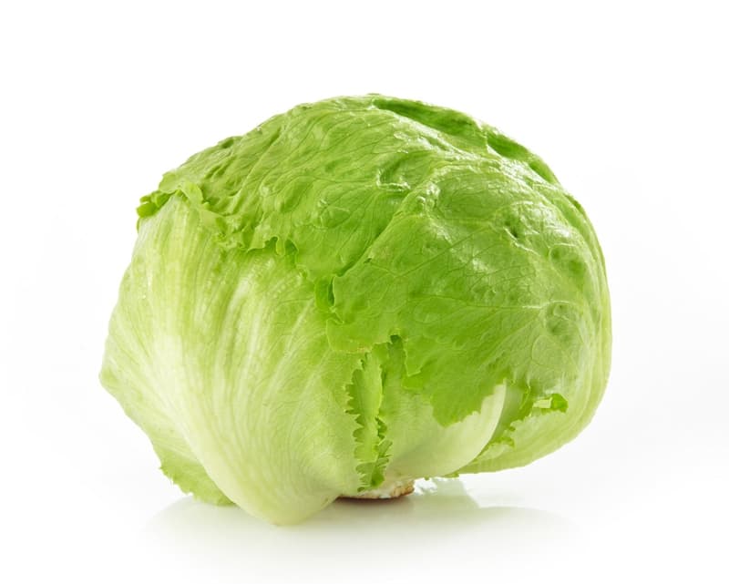 BIO Iceberg lettuce